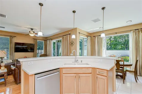 14507 Mirabelle Vista Circle Tampa FL 33626