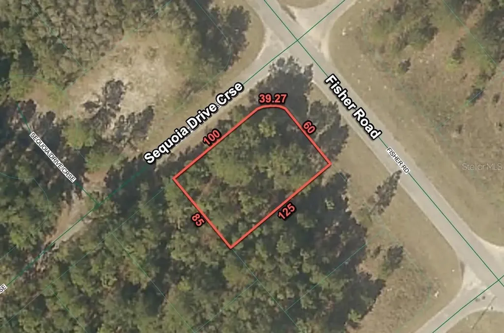 200 Fisher Road Ocklawaha FL 32179