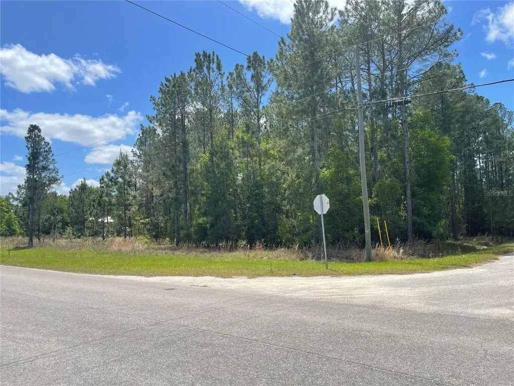 200 Fisher Road Ocklawaha FL 32179