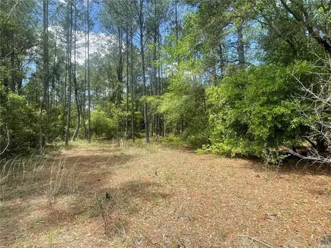 200 Fisher Road Ocklawaha FL 32179