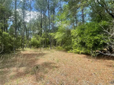 200 Fisher Road Ocklawaha FL 32179