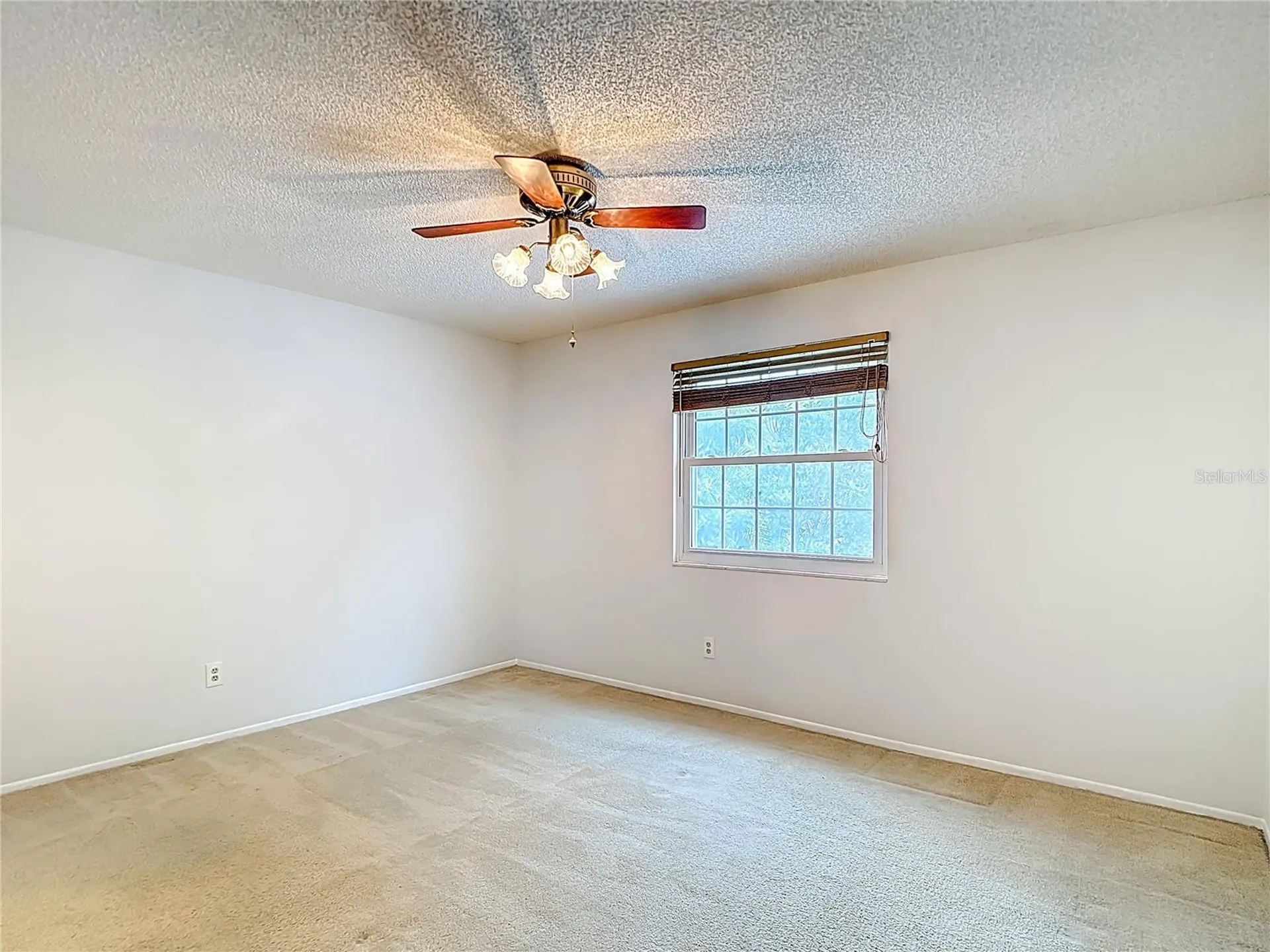 16851 Le Clare Shores Drive Tampa FL 33624