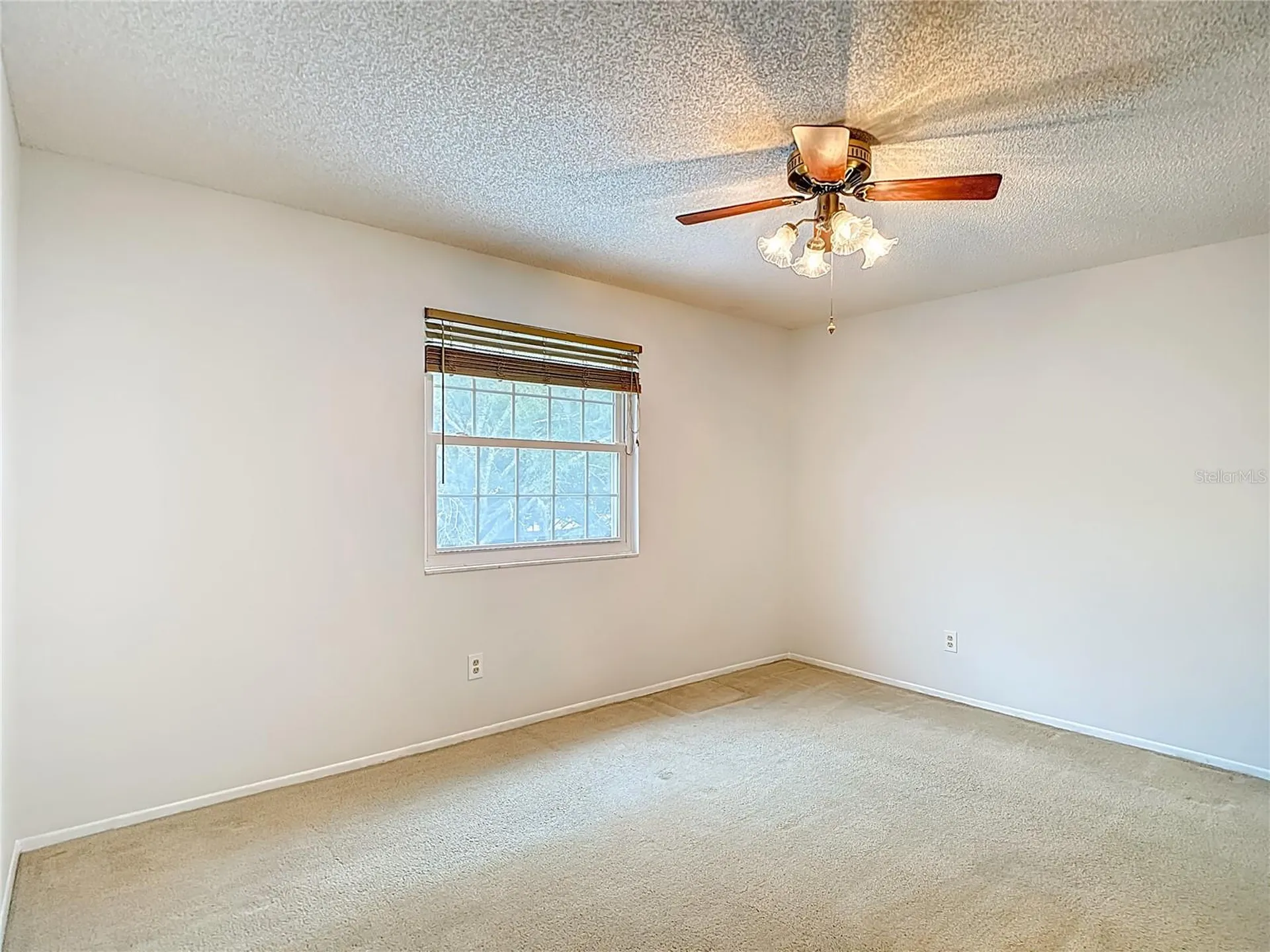 16851 Le Clare Shores Drive Tampa FL 33624