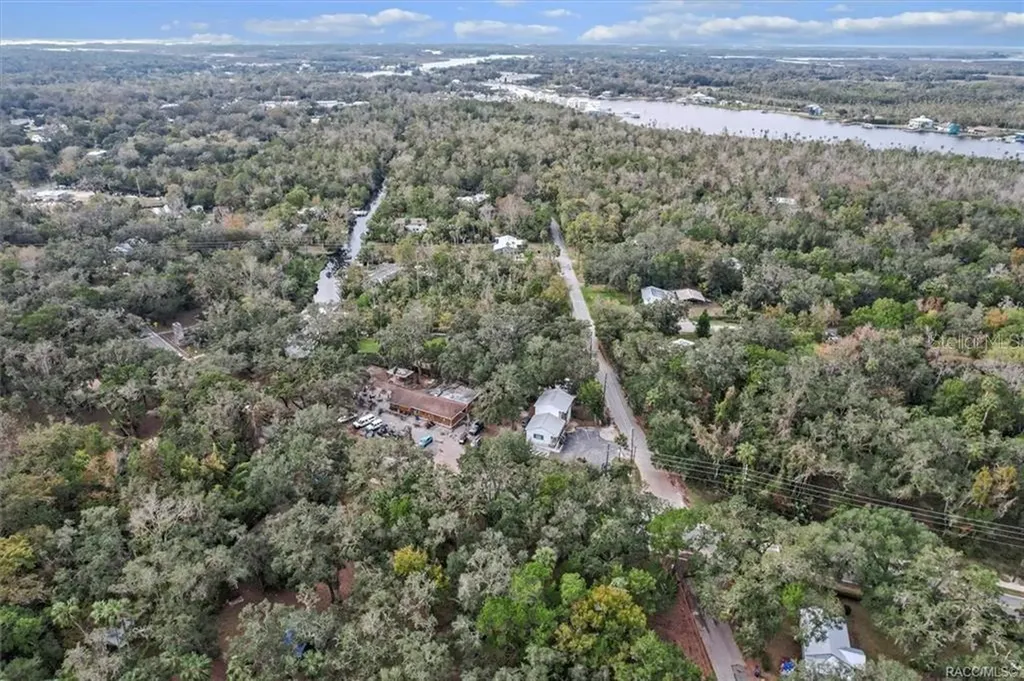 10460 W New York Street Homosassa FL 34448