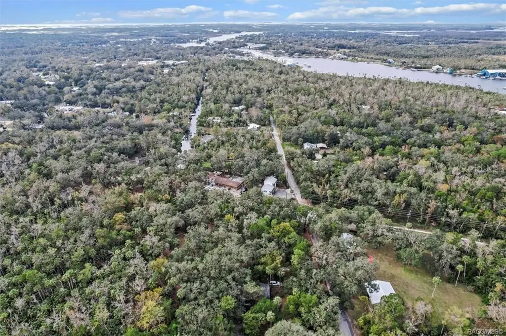 10460 W New York Street Homosassa FL 34448