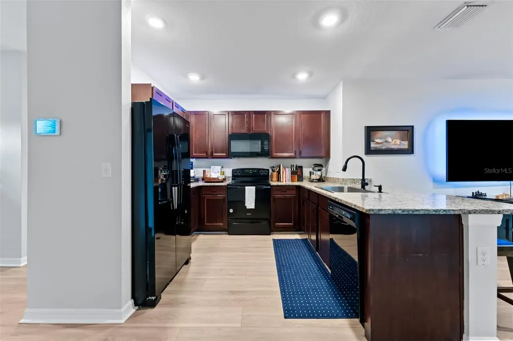 10918 Trailing Vine Drive Tampa FL 33610