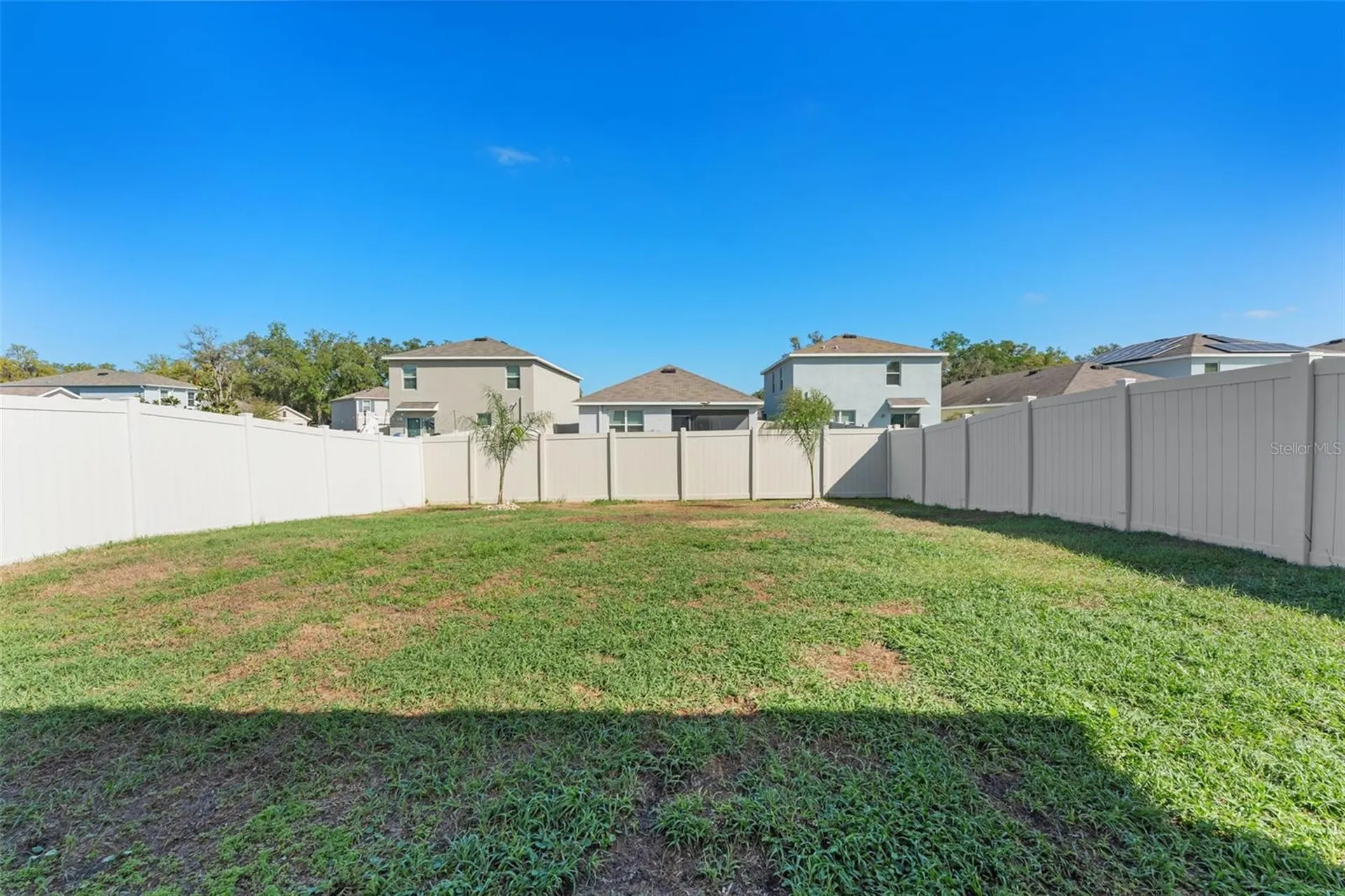 10918 Trailing Vine Drive Tampa FL 33610