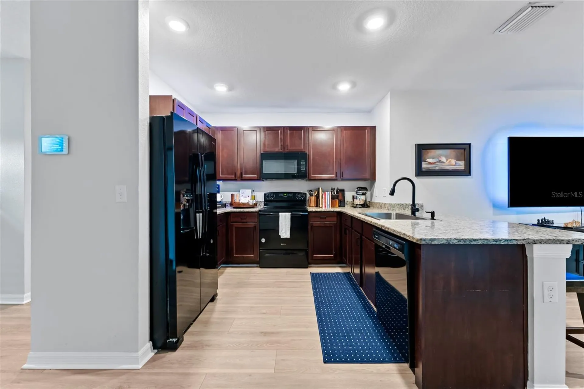 10918 Trailing Vine Drive Tampa FL 33610
