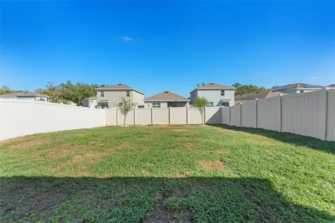 10918 Trailing Vine Drive Tampa FL 33610