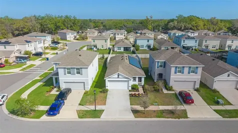 10918 Trailing Vine Drive Tampa FL 33610