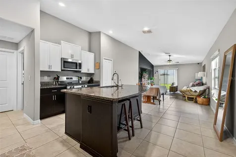 9324 Lemon Drop Loop Sun City Center FL 33573