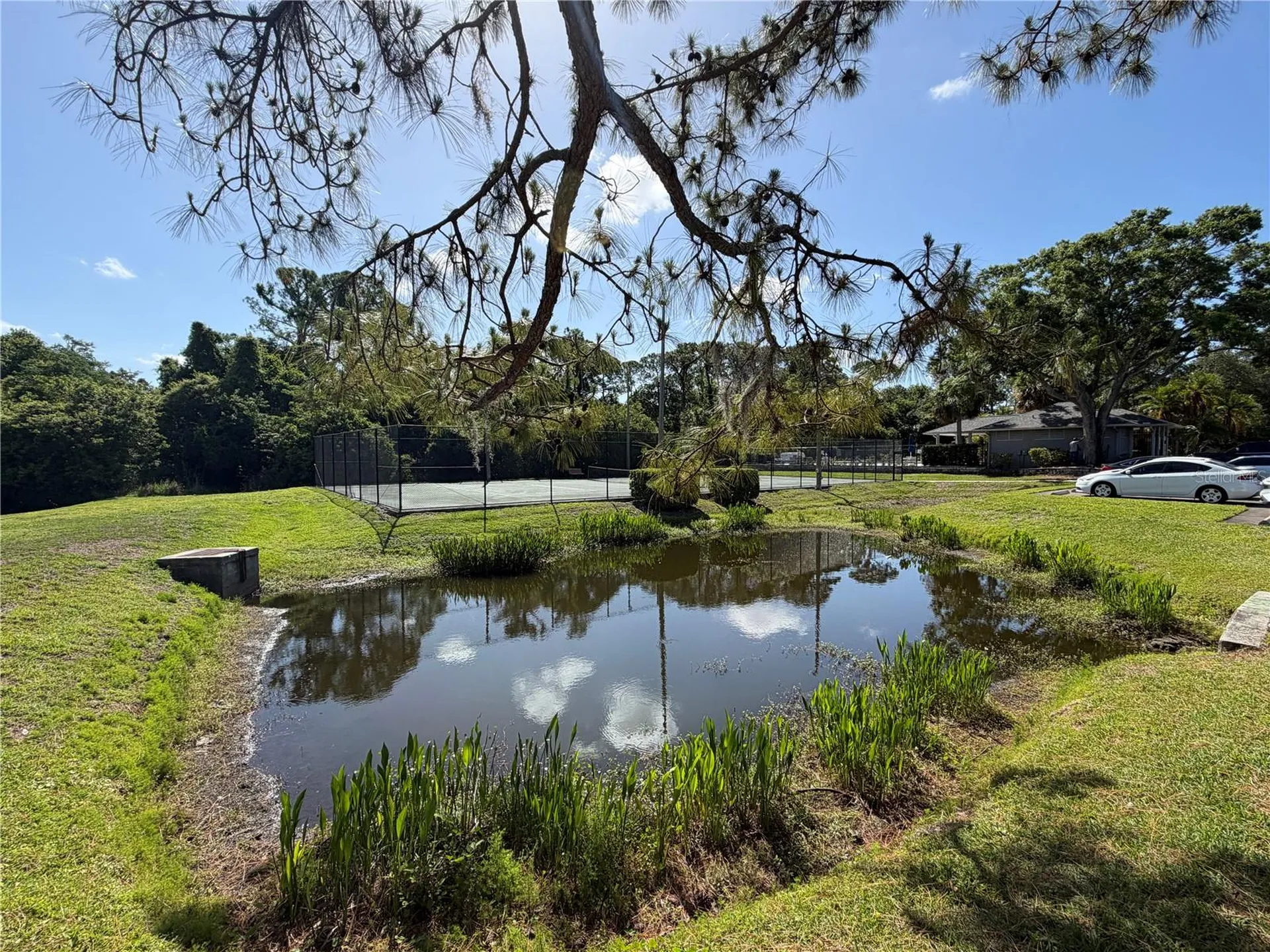 274 Buckingham Place Palm Harbor FL 34684