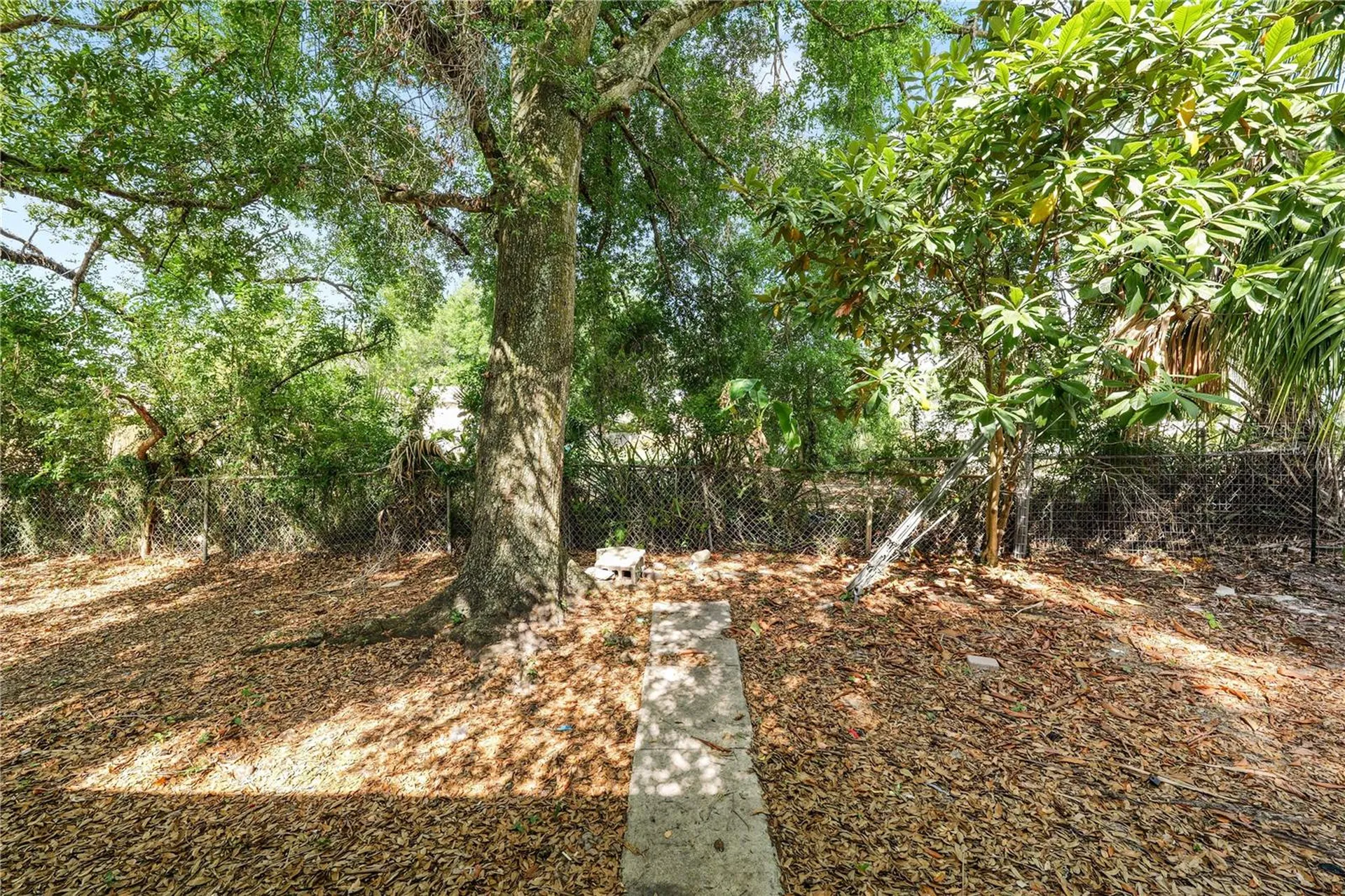 8316 N 12th Street Tampa FL 33604