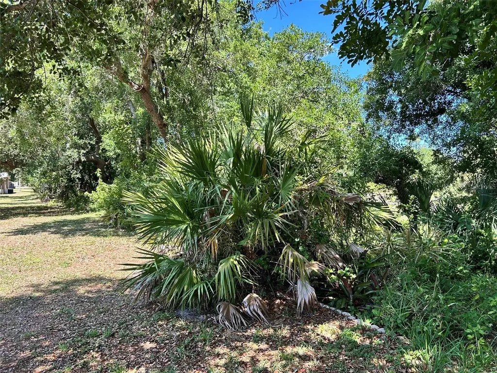 15550 Burnt Store Road Punta Gorda FL 33955