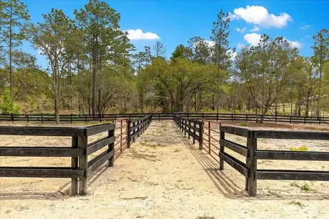 2271 SE 147th Avenue Morriston FL 32668