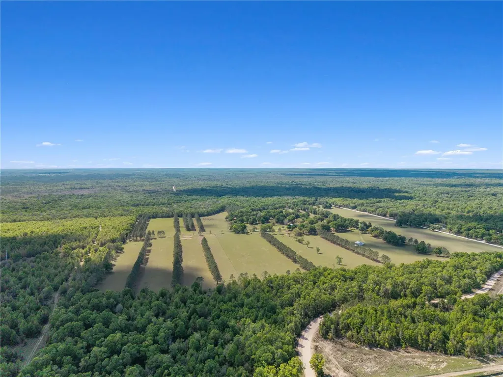 4639 SW Wilson Springs Road Fort White FL 32038
