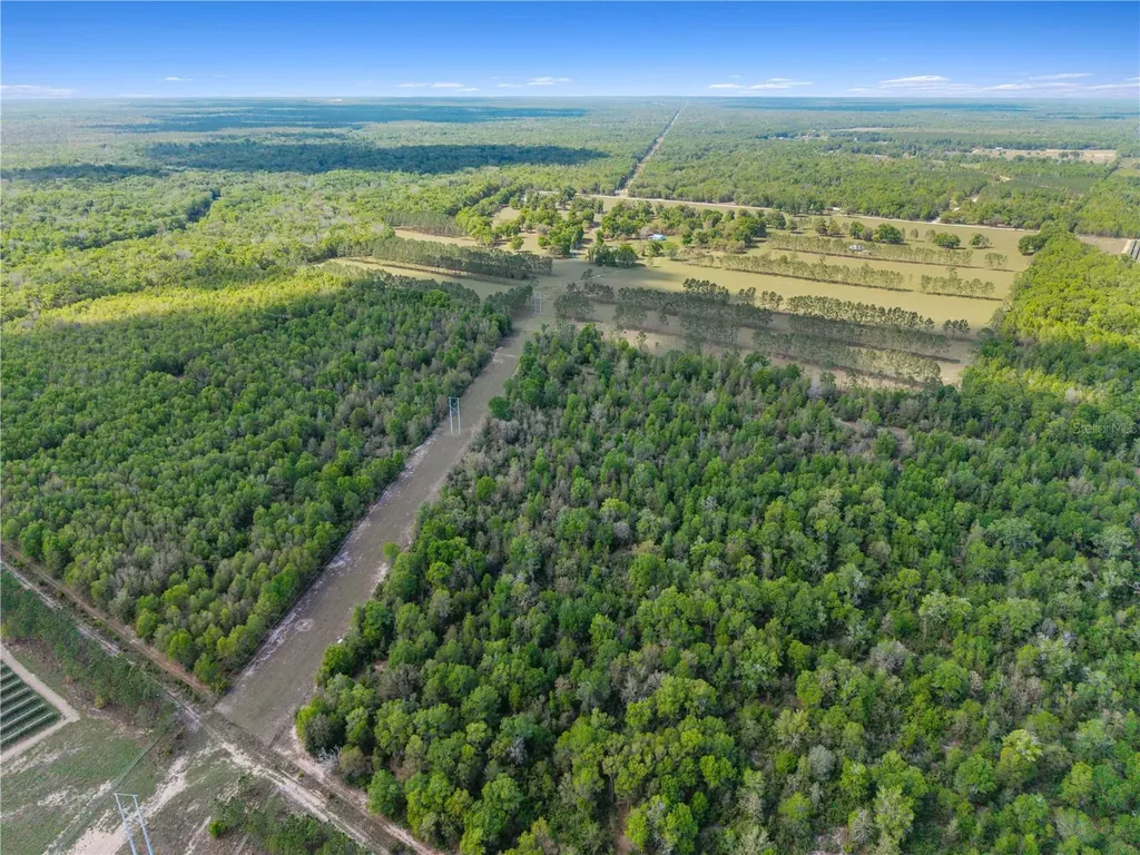 4639 SW Wilson Springs Road Fort White FL 32038
