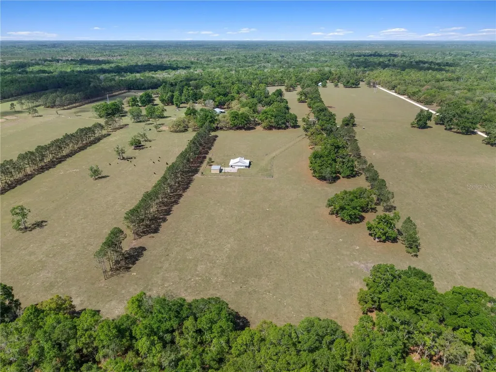 4639 SW Wilson Springs Road Fort White FL 32038
