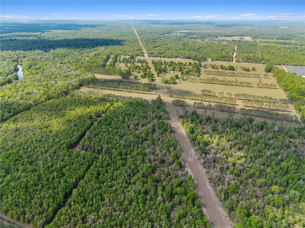 4639 SW Wilson Springs Road Fort White FL 32038