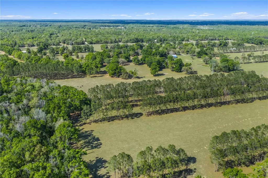 4639 SW Wilson Springs Road Fort White FL 32038