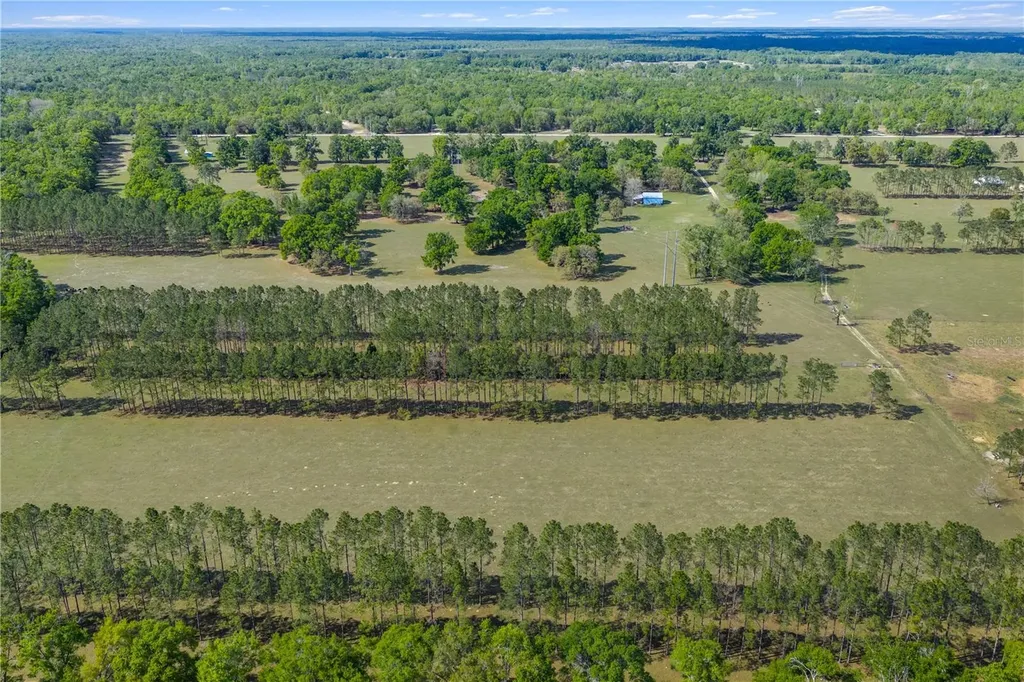 4639 SW Wilson Springs Road Fort White FL 32038