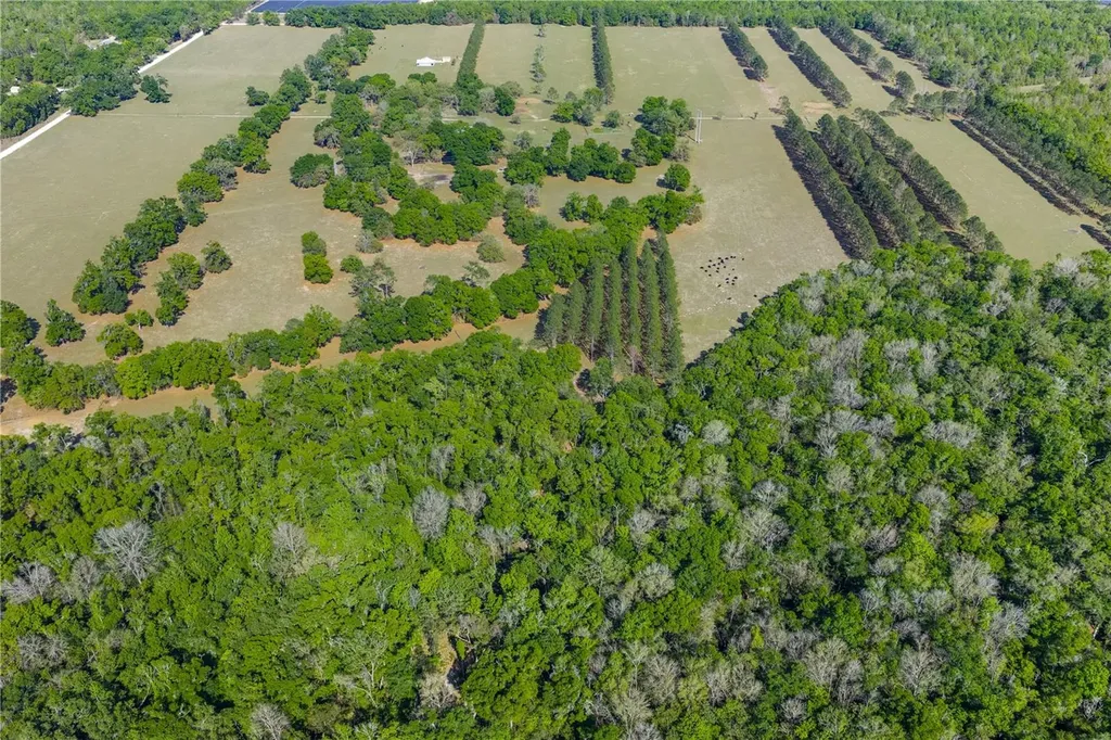 4639 SW Wilson Springs Road Fort White FL 32038