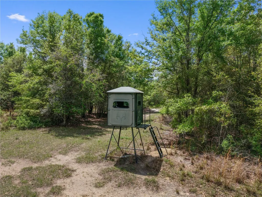 4639 SW Wilson Springs Road Fort White FL 32038