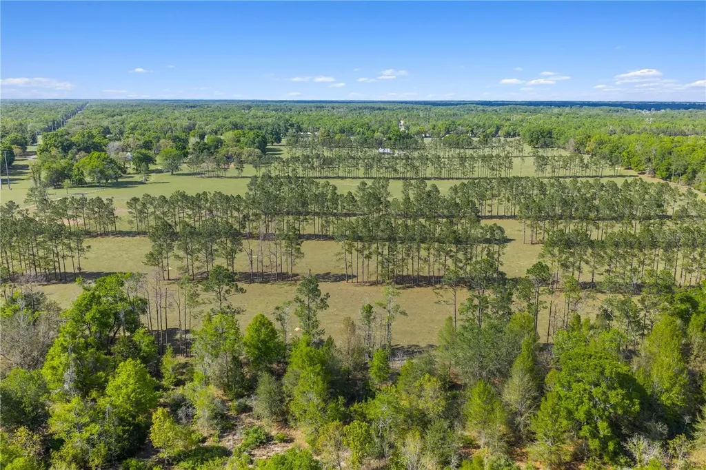 4639 SW Wilson Springs Road Fort White FL 32038