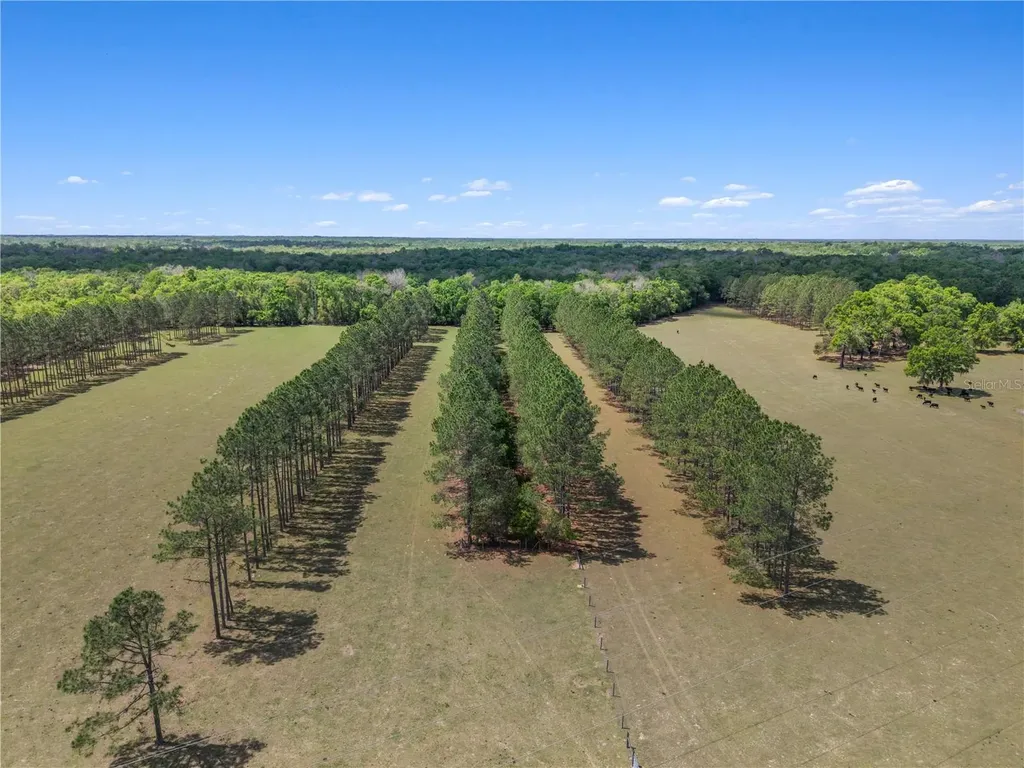 4639 SW Wilson Springs Road Fort White FL 32038