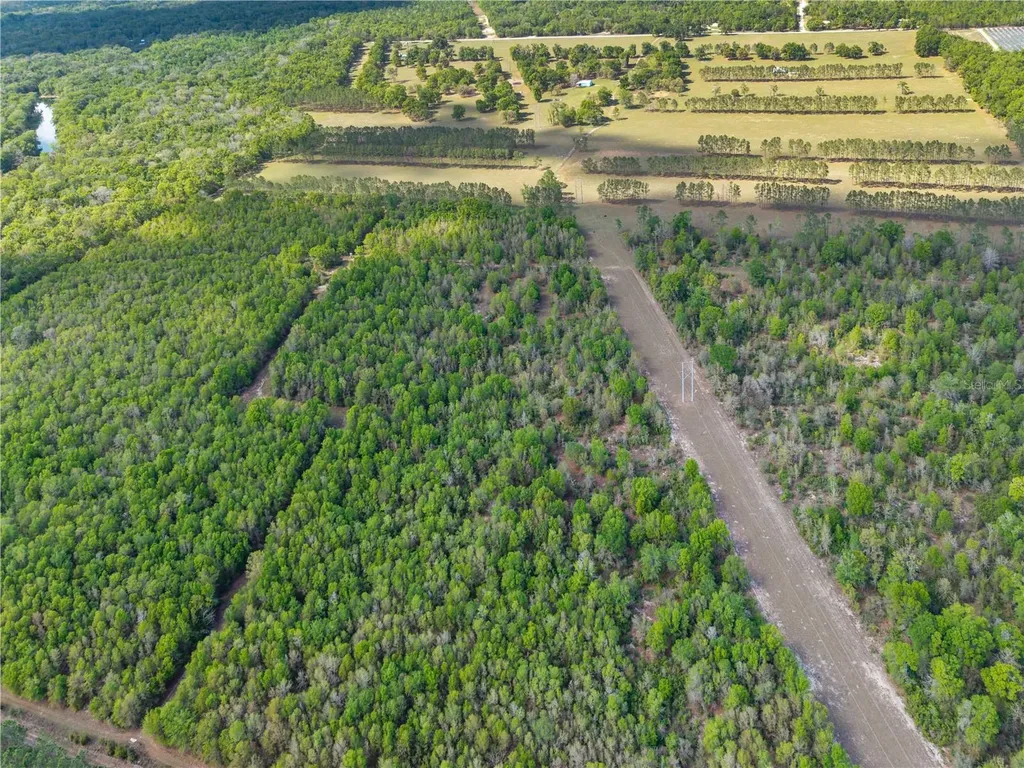 4639 SW Wilson Springs Road Fort White FL 32038