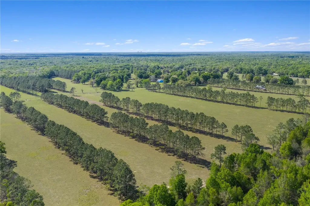 4639 SW Wilson Springs Road Fort White FL 32038