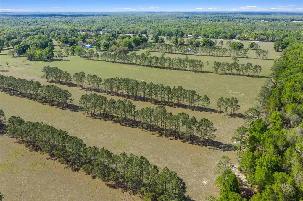 4639 SW Wilson Springs Road Fort White FL 32038