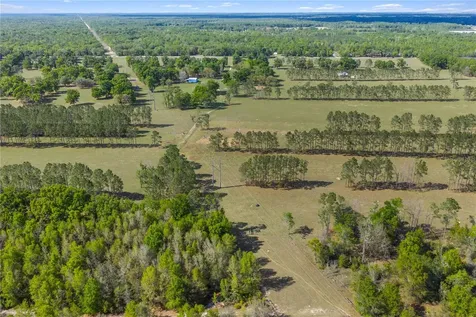 4639 SW Wilson Springs Road Fort White FL 32038