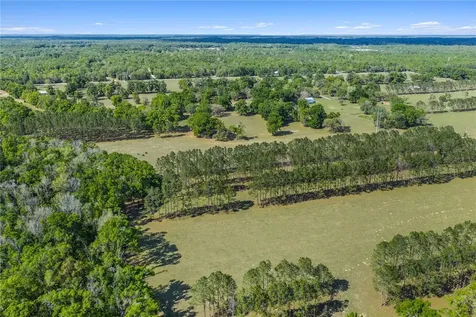 4639 SW Wilson Springs Road Fort White FL 32038