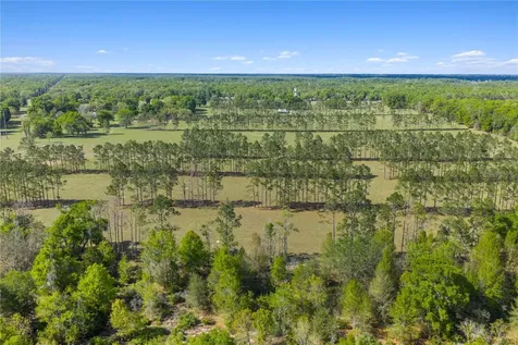 4639 SW Wilson Springs Road Fort White FL 32038