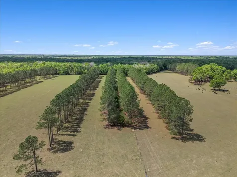 4639 SW Wilson Springs Road Fort White FL 32038