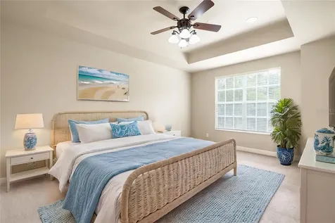 14543 Mirabelle Vista Circle Tampa FL 33626