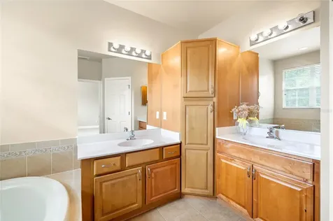 14543 Mirabelle Vista Circle Tampa FL 33626