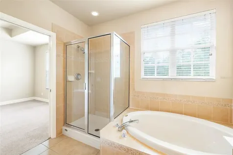 14543 Mirabelle Vista Circle Tampa FL 33626