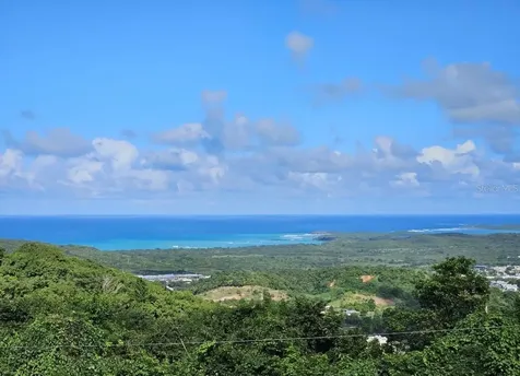 985 Km 1.6 Interior Quebrada Fajardo Fajardo PR 00738