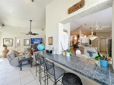233 Hanging Moss Circle Lake Mary FL 32746