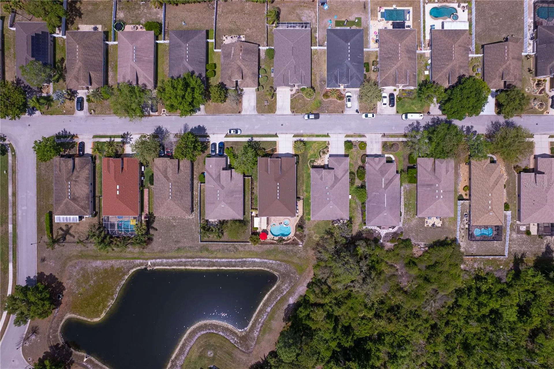 11532 Bathgate Court New Port Richey FL 34654