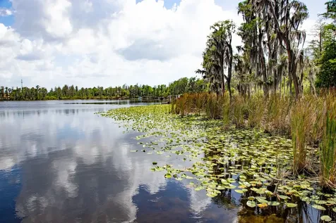 11532 Bathgate Court New Port Richey FL 34654