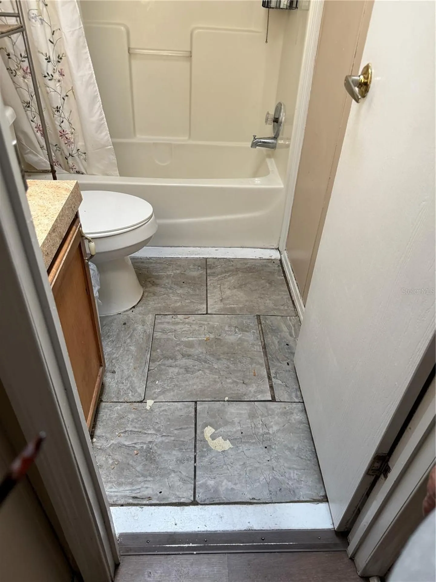 14935 SE 47th Court Summerfield FL 34491