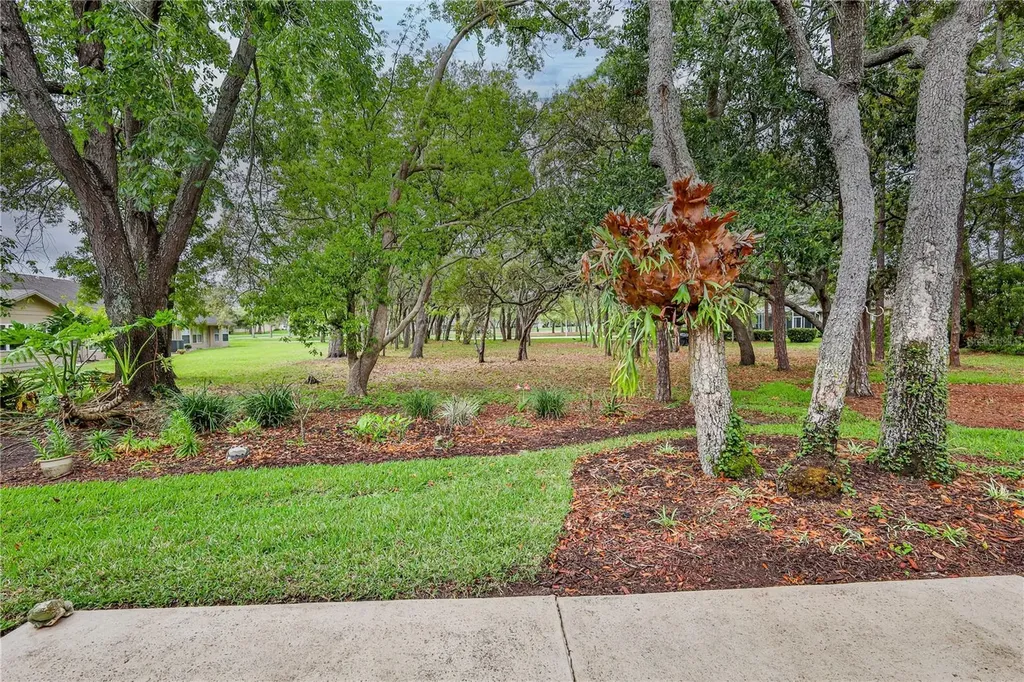 3017 Whispering Pines Court Spring Hill FL 34606