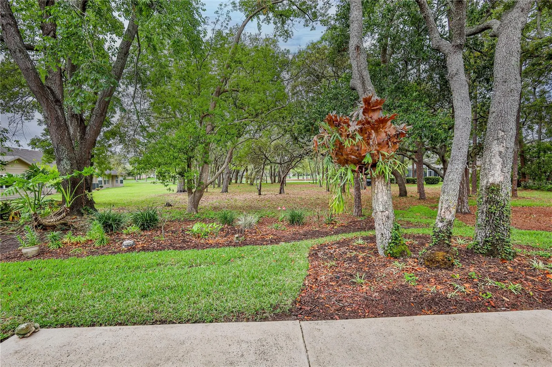 3017 Whispering Pines Court Spring Hill FL 34606