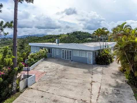 734 Bo Arenas Cidra PR 00739