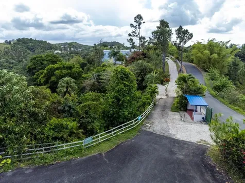 734 Bo Arenas Cidra PR 00739