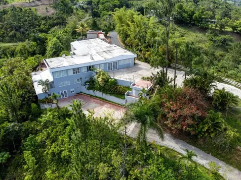 734 Bo Arenas Cidra PR 00739