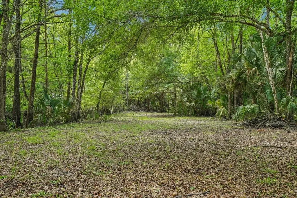 217 S Tuck Point Inverness FL 34450